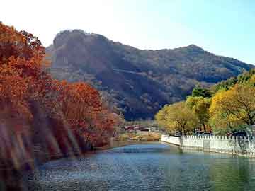 管家婆黑白马报图库，花舍胶囊